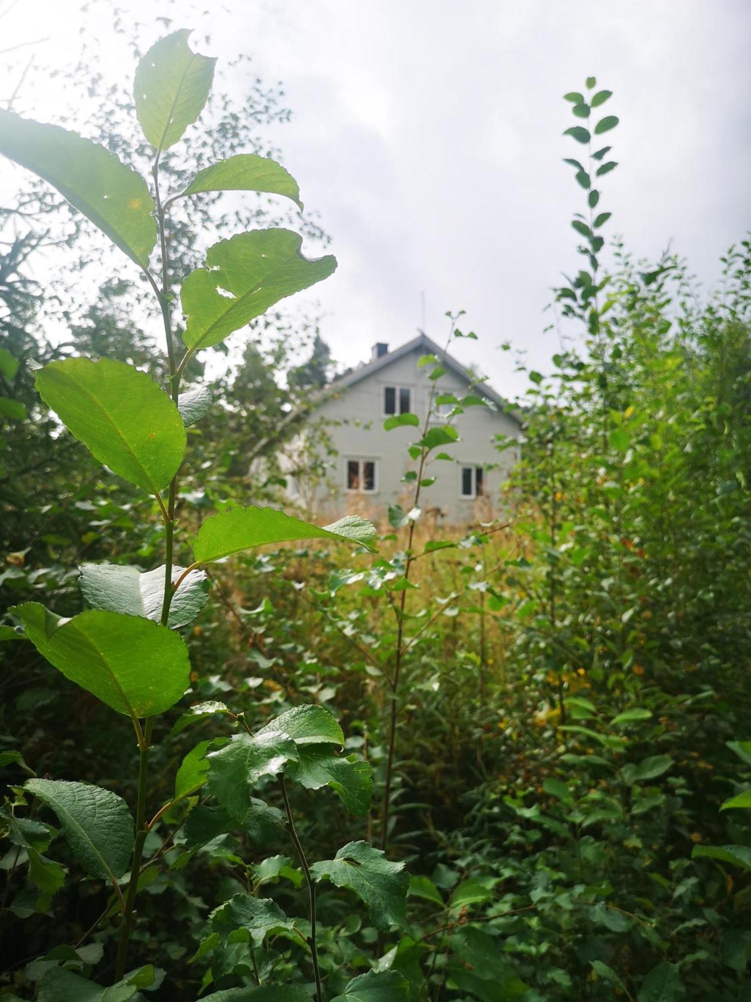 Villa Ka Stor Elvdal Koppang Exterior photo